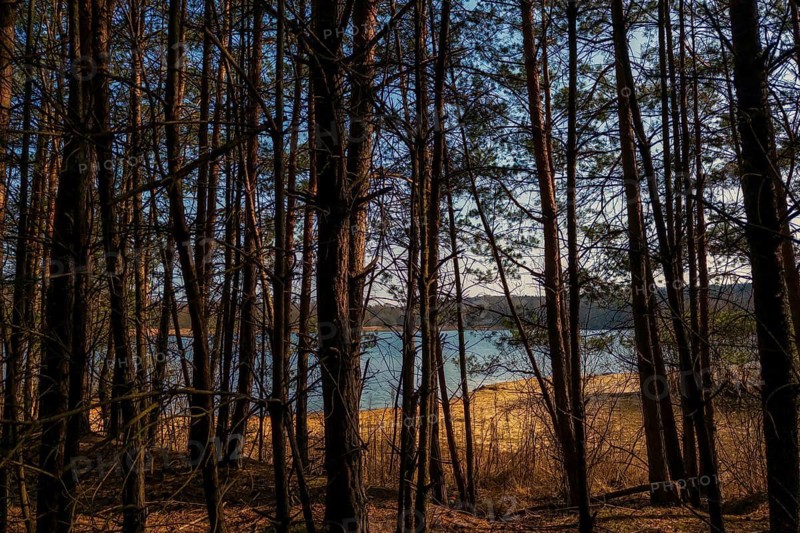 Evening at a quarry lake with a view through the forest