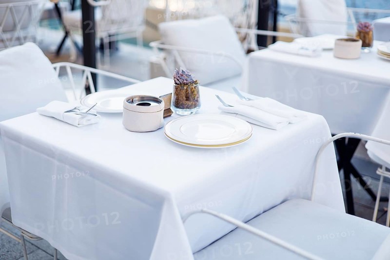 A beautifully arranged dining table features a crisp white tablecloth with elegant tableware, including a plate, napkin, and a small decorative plant, set in a stylish restaurant environment