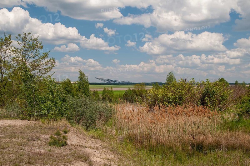 2008, Brandenburg, Germany, Nabu, Nabu Project, national natural heritage, natural paradise Grünhaus, Nordrandschlauch, post-mining landscape, Grünhaus, landscape