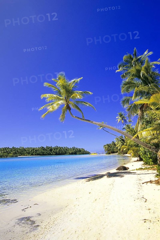 Cook Islands - dream beach - palm beach, Cook Islands