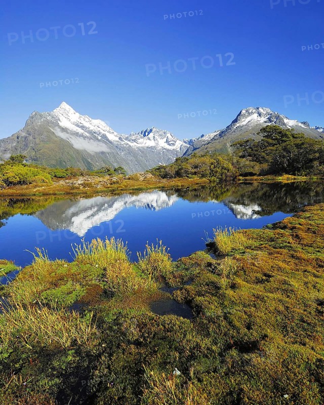 Key Summit with reflection of Mt. Christina, Fjordland National Park, World Heritage Site South West New Zealand, West Coast, South Island of New Zealand