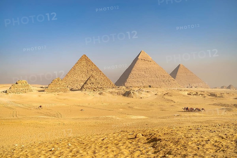 Camels in the desert and the pyramids of Giza, Egypt