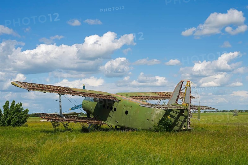 Green aircraft wreck on high meadow under a beautiful blue sky, Antonov An-2 multi-purpose aircraft, biplane, abandoned airport, Ceadir-Lunga, Ceadîr-Lunga, Chadyr-Lunga, Taraclia district, Gagauzia autonomous region, Republic of Moldova, Moldova