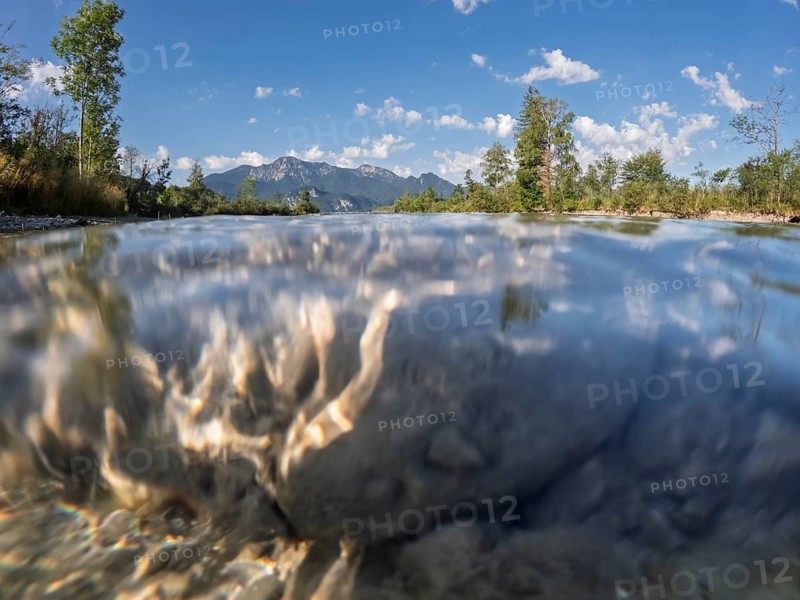 River, water, stones, underwater picture, trees, sun, summer, Loisach, Großweil, Alpine foothills, Bavaria, Germany