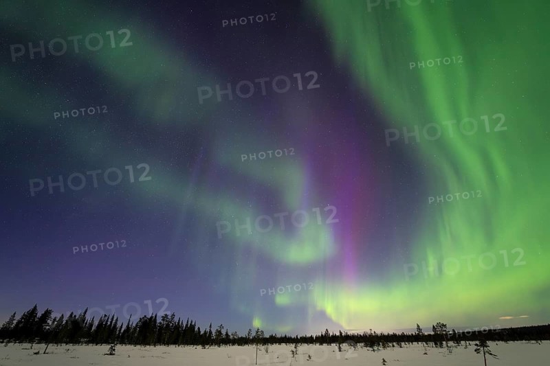 Northern Lights (Aurora borealis), Muddus National Park, Laponia World Heritage Site, Norrbotten, Lapland, Sweden, April 2025