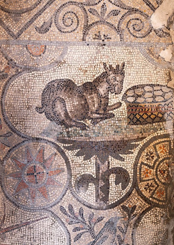 Mosaic with geometric pattern and depiction of animals, North Hall, Basilica di Santa Maria Assunta, Basilica of Aquileia with historic floor mosaic, UNESCO World Heritage Site, Aquileia, Friuli, Italy