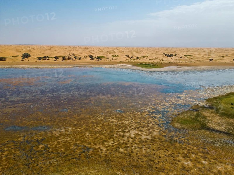 Aerial view, Swan Lake in front of moving sand dunes, salt lake in the Tengger Desert, part of the Gobi Desert, Inner Mongolia, China