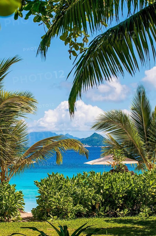 Anse Forbons Beach, Hilton's Double Tree Resort & Spa, Mahe, Seychelles, palm trees, Republic of Seychelles, Indian Ocean