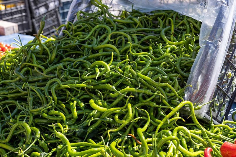 Bulk display of green chili peppers at a market, fresh and organic