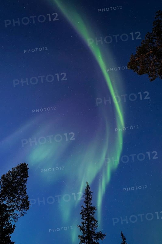 Northern Lights (Aurora borealis), Gällivare, Norrbotten, Lapland, Sweden, April 2025