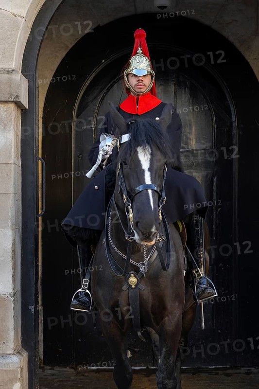 Mounted Blues and Royals trooper of the Household Cavalry Mounted Regiment on duty at Horse Guards in the City of Westminster, London, UK