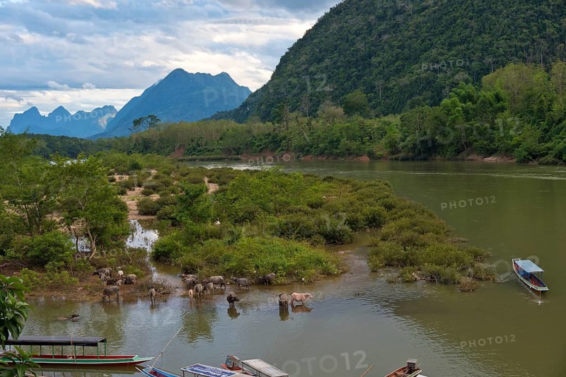 Mountain landscape near the village of Muang Ngoi on the Nam Ou River with water buffaloes and longboats, Phongsali province, Laos