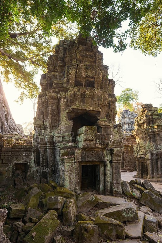Ta Prohm, Angkor Wat, Angkor, UNESCO World Heritage Site, Siem Reap, Cambodia, Indochina, Southeast Asia