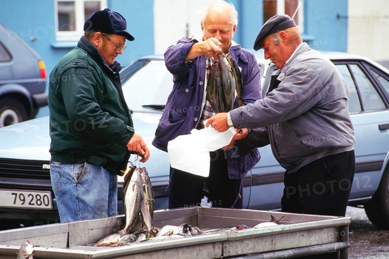 Faroe Islands, Torshavn, island, harbour fish market, fishermen, Atlantic Ocean, Denmark