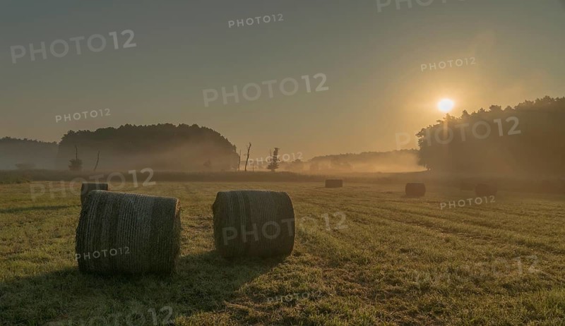 Barnim, Brandenburg, FFH area, Finow Valley, Finowtal-Pregnitzfließ, Germany, Natura 2000, Barnim nature park Park, Haze, Landscape, Nature Reserve, Nature Reserve, Fog, Summer, Sunrise, Mood, Sunrise