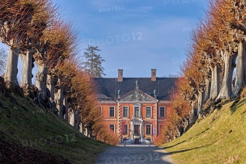 Avenue of linden trees leading to Schloss Bothmer, 18th century Baroque palatial manor house near Klütz in winter, Mecklenburg-Vorpommern, Germany