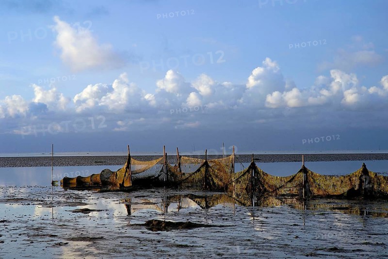 Fishing nets, Wadden Sea, Texel, Netherlands, August 2006, Texel, Netherlands
