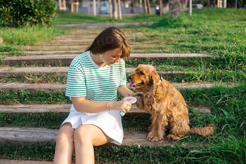 A woman sits on grassy steps petting her cocker spaniel in a tranquil outdoor space
