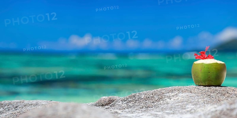 A fresh coconut with straw on La Digue beach, Seychelles, Indian Ocean, La Digue, Indian Ocean, Seychelles