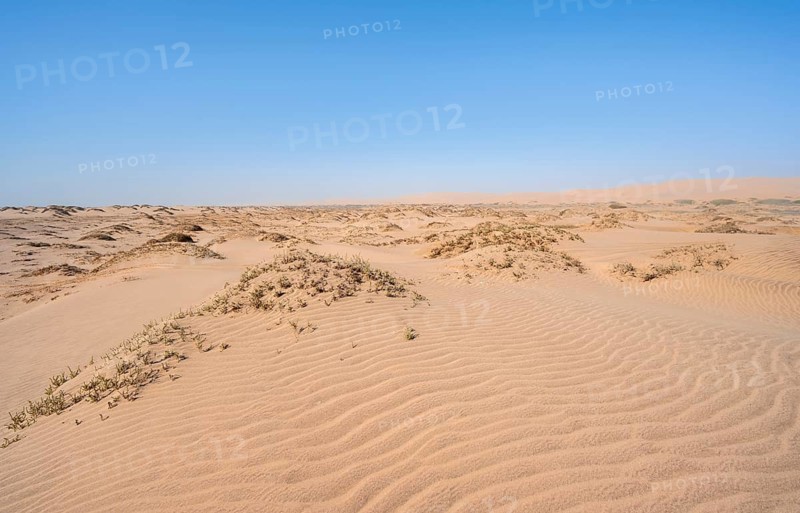 Small sand dunes, Namib Desert, Sandwich Harbour, Namib Naukluft Park, Namib Desert, Namibia