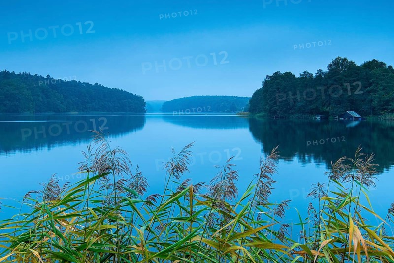 Dawn at blue hour at the lake, Schmalen Luzin, boathouse, Feldberger Seenlandschaft, Mecklenburg-Western Pomerania, Germany