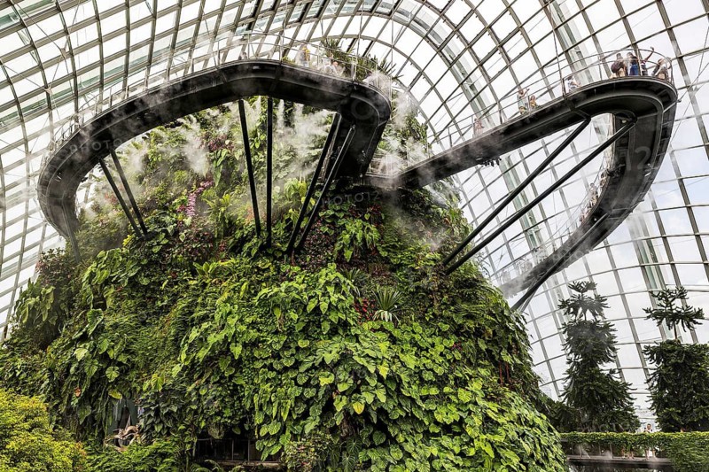 Artificial mountain with tropical rainforest plants inside the Cloud Forest Botanical garden, Gardens by the Bay, Singapore