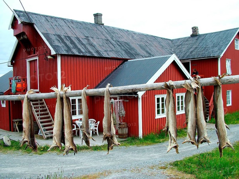 Geography, travel, Norway, Å, cod, stockfish, Lofoten