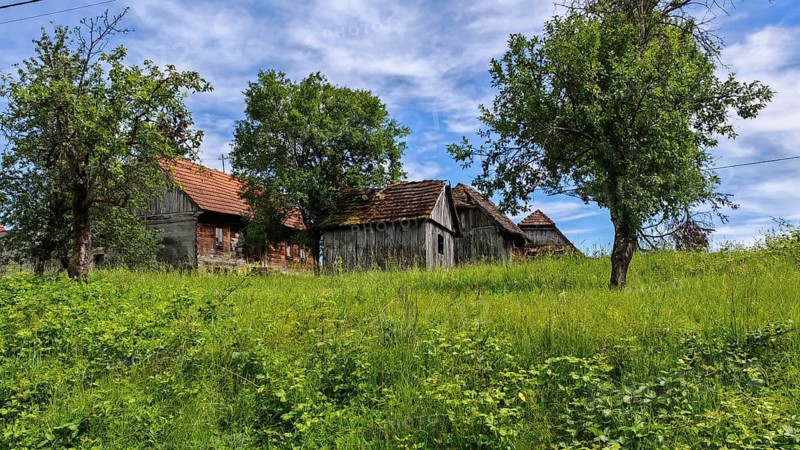 Green landscape with several old, traditional, rustic wooden houses and trees under blue sky, Croatia