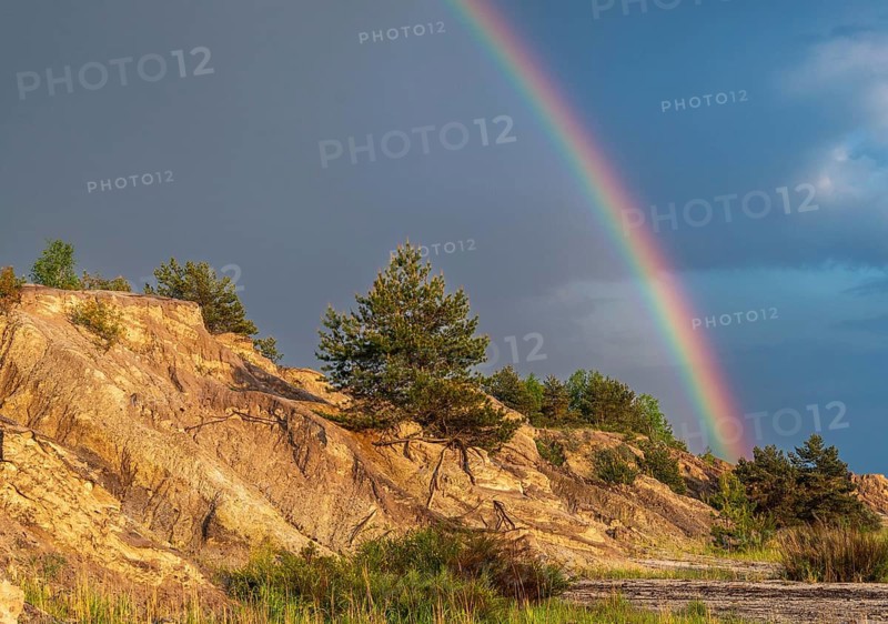 2023, Brandenburg, Germany, Mainzer Land, Nabu, Nabu Project, national natural heritage, Grünhaus natural paradise, post-mining landscape, Grünhaus, rainbow, rainbow
