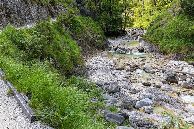 Hiking trail through the Almbach Gorge near Ettenberg, Berchtesgadener Land, Bavaria, Germany