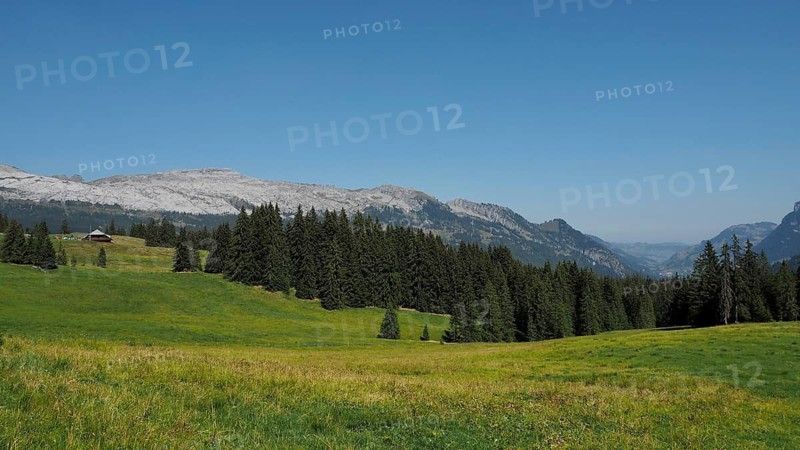 Wide mountain meadow surrounded by pine forests, with a view of imposing Karst mountains, UNESCO Entlebuch Biosphere, Switzerland
