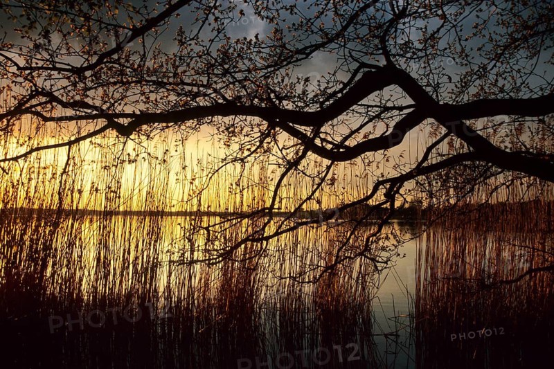 Sunset - Großer Teich - Torgau - Germany, Großer Teich, Torgau, Germany