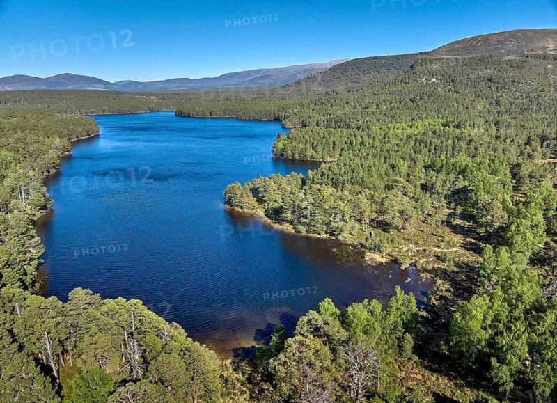 Aerial drone photo Mountain and Forest landscape at Loch Eilein in the Cairn Gorm National Park, Aviemore in Scotland, UK