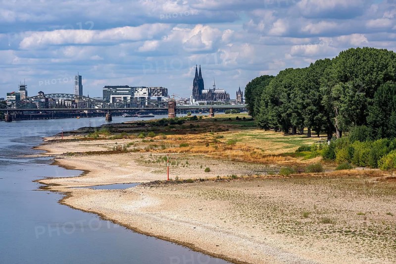Low water in the Rhine near Cologne, view from the right bank of the Rhine over the Boller Wiesen, looking north, south bridge, skyline of the city center with the cathedral, inland navigation is severely restricted, only a few ships sail, then with a significantly reduced load, on the day of recording it was the lowest ever measured Rhine level in Cologne, 60 cm, North Rhine-Westphalia, Germany