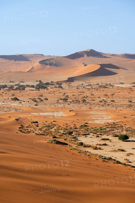 Red yellow sand dunes and white salt pans of the Namib, Namib Desert, Namib-Naukluft National Park, Namibia