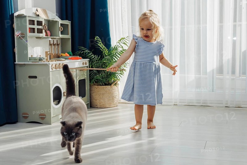 Little toddler girl in blue dress plays with a cat in a sunny, cozy living room filled with toys