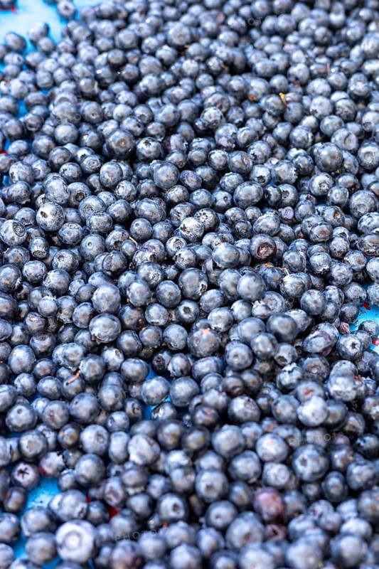 A close-up view of fresh, ripe blueberries with a rich dark color at a market