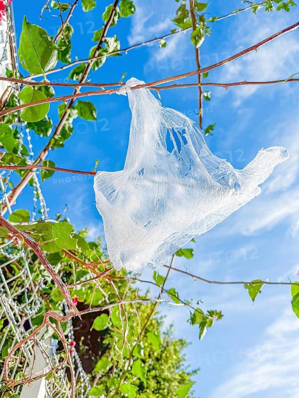 Plastic bag trapped on tree branches against blue sky on summer day. environmental pollution and ecological crisis concept