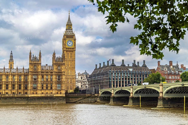 Elizabeth Tower, popularly known as Big Ben, rises above the Palace of Westminster and Westminster Bridge, with modern Portcullis House visible beyond. Overhanging leaves frame the view, combining Gothic Revival, Victorian engineering and contemporary architecture, London, England, United Kingdom