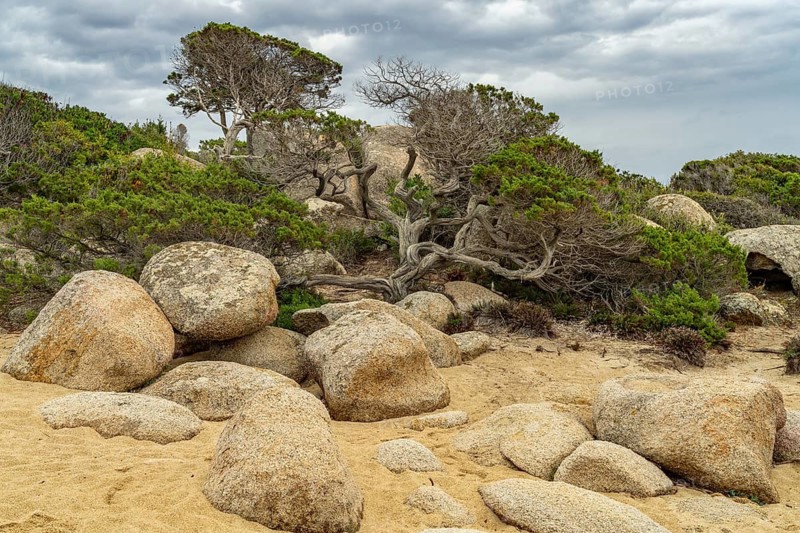 Rock formation on the coast near Tizzano, Sartene, Corsica, France