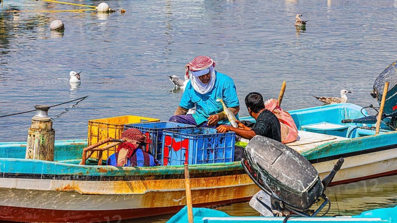 Fishermen working on their boats in the harbour of Mirbat, Dhofar Province, Arabian Peninsula, Sultanate of Oman