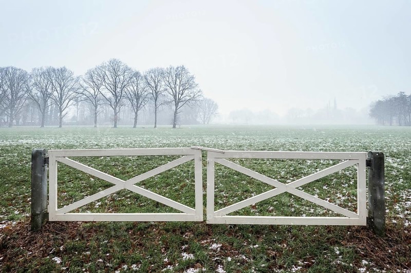 Horse paddock in winter fog, Almelo, Netherlands