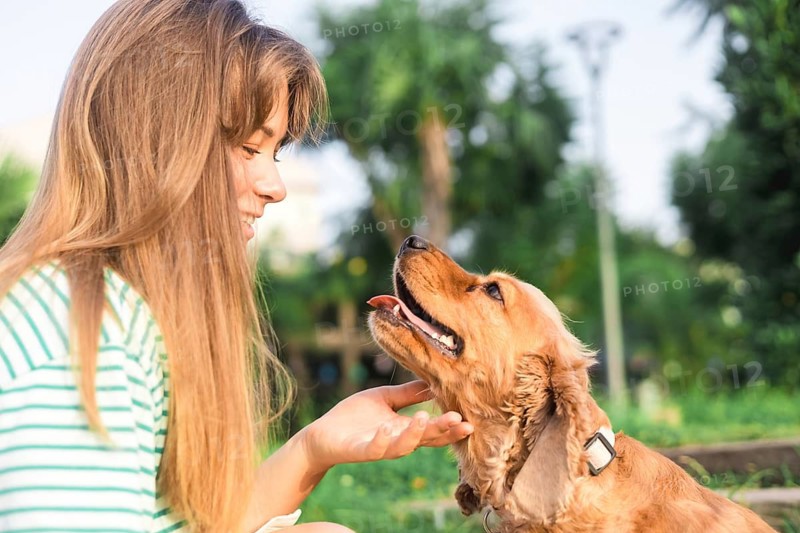 A girl interacting and smiling at a cheerful dog in a sunny park