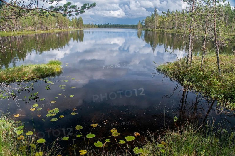 Finland, Bog, Countries, Lake, Landscape, Countries, Marsh, Moor, Travel, Lake, Travels