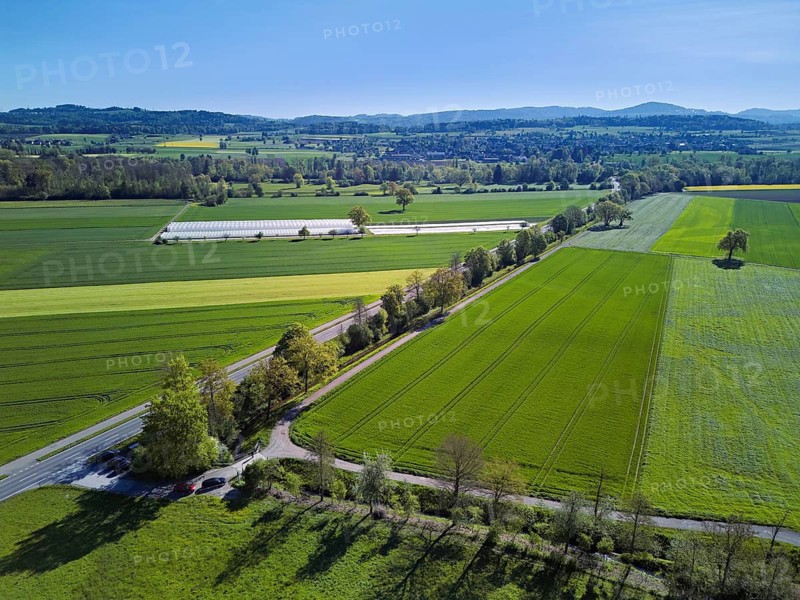 Meadows and fields, on the main road Aristau to Ottenbach, Reusstal, Freiamt, Canton Aargau, Switzerland