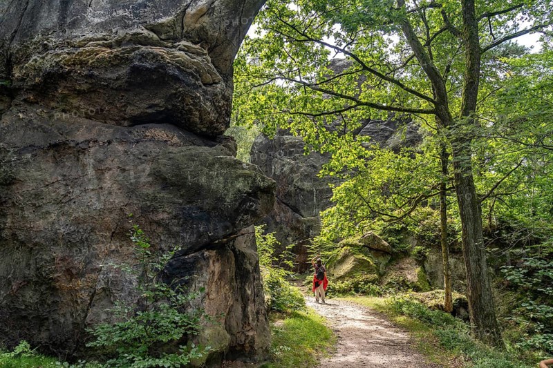 Mühlsteinbrüche hiking area near Jonsdorf in the Zittau Mountains, Upper Lusatia, Saxony, Germany