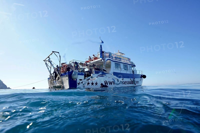 Big boat, diving boat at sea under blue sky, diver on board, Cap de Creus marine reserve dive site, Rosas, Costa Brava, Spain, Mediterranean