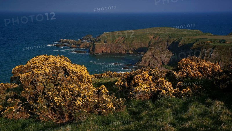 Europe, Scotland, Great Britain, England, landscape, Dunottor Castle near Stonehaven, Aberdeenshire, Stonehaven