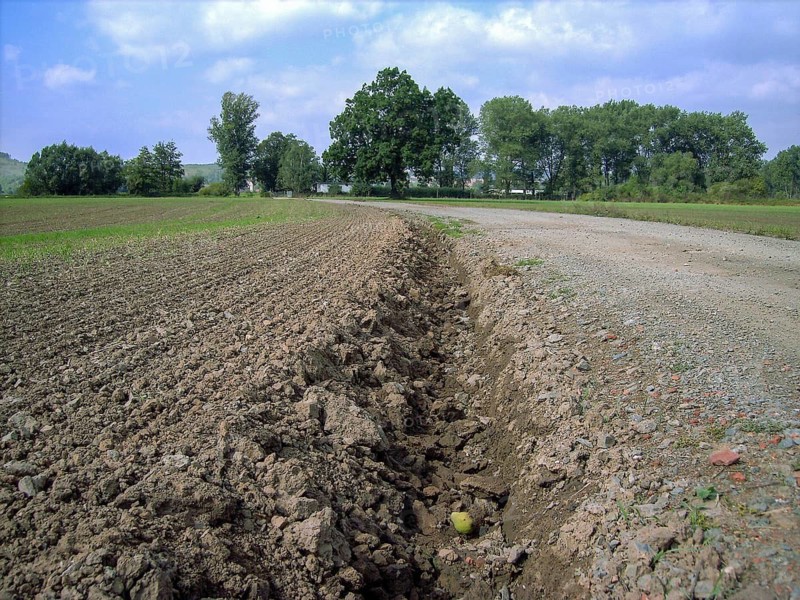PICT1429.JPG