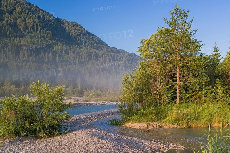 Isar valley nature conservancy area. The wild Isar river flows through its gravel bed past driftwood and entrained trees and bushes . Early morning